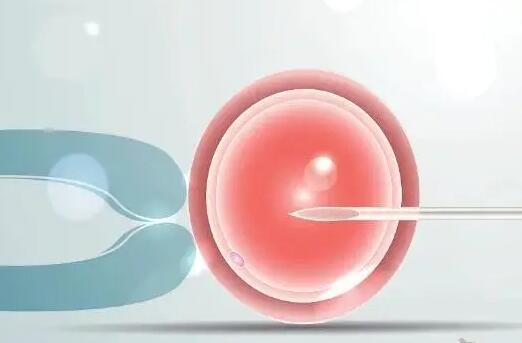 试管冻胚移植的成功率高吗，做好这些事能提高冻胚移植着床率